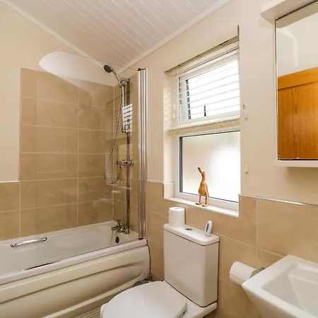 Fir Tree * Windermere