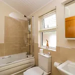 Fir Tree * Windermere