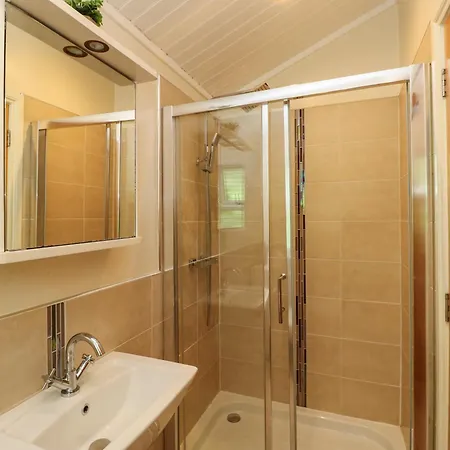 Tatil Evi Fir Tree